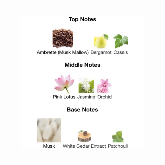 ELLIS BROOKLYN Salt or Sweet Eau de Parfum Trio - .20 fl oz ea. NIB - Picture 10 of 11